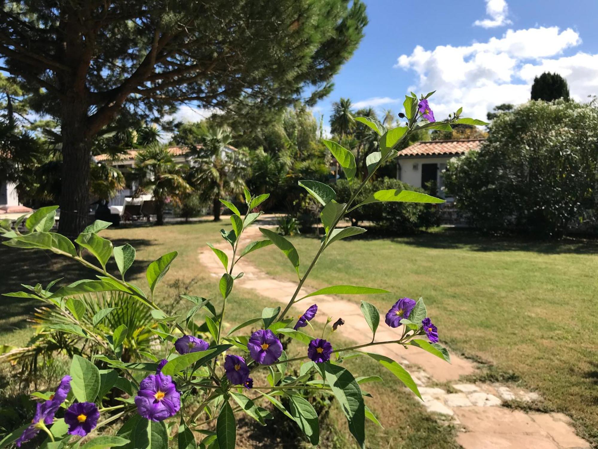 Les Portes-en-Re Le Jardin Des Portes B&B 외부 사진